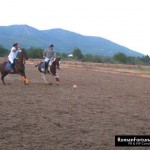 IbizaPoloClub_Autumn_12_ 014