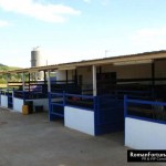 IbizaPoloClub_Autumn_12_ 029