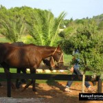 IbizaPoloClub_Autumn_12_ 034