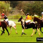 IbizaPoloClub_Autumn_12_ 037