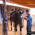 IbizaPoloClub_Autumn_12_ 040