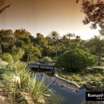 PDiddy_villapartyIbiza_Aug12_134