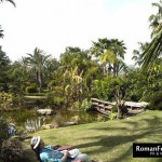 PDiddy_villapartyIbiza_Aug12_135