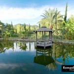 PDiddy_villapartyIbiza_Aug12_136