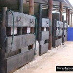 49_IbizaPoloClub_Autumn_12_ 009