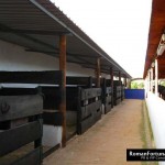 53_IbizaPoloClub_Autumn_12_ 013