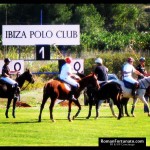 72-IbizaPoloClub_Autumn_12_ 033