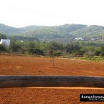 75_IbizaPoloClub_Autumn_12_ 036