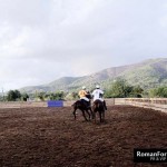 85_IbizaPoloClub_Autumn_12_ 046