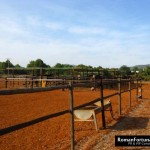 86_IbizaPoloClub_Autumn_12_ 047