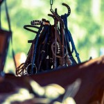 1st Ibiza Charity Polo Cup 15