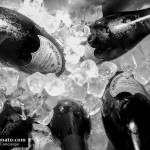 Blue Marlin Ibiza 9th anniversary 39