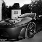 Blue Marlin Ibiza 9th anniversary 5