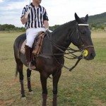 Polo cup presented by Champagne Cristal 15